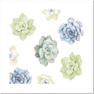 jolie collection de fleurs de cactus en aquarelle Posters and Art